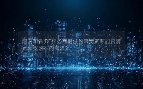 国内知名IDC服务商提供的带宽资源能否满足大型网站的需求？