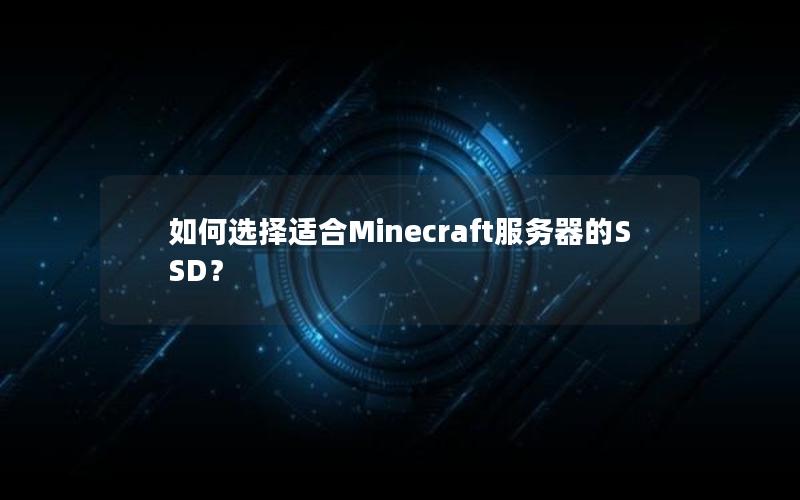 如何选择适合Minecraft服务器的SSD？