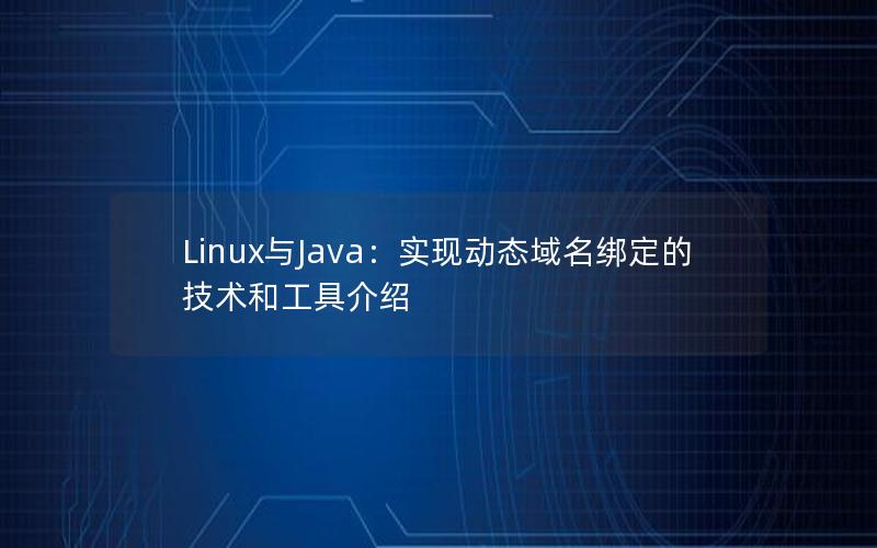 Linux与Java：实现动态域名绑定的技术和工具介绍