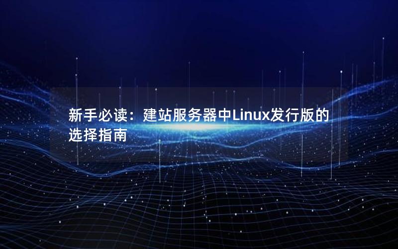 新手必读：建站服务器中Linux发行版的选择指南