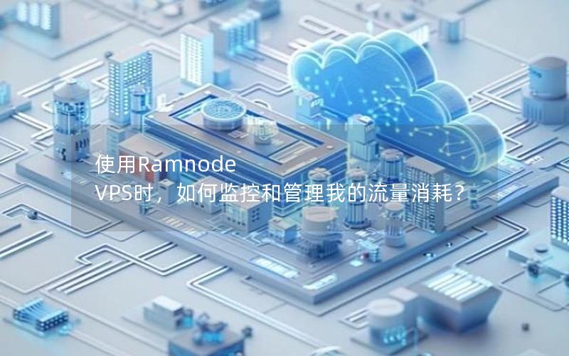 使用Ramnode VPS时，如何监控和管理我的流量消耗？