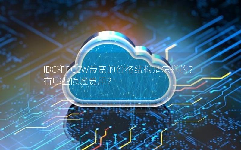 IDC和PCCW带宽的价格结构是怎样的？有哪些隐藏费用？