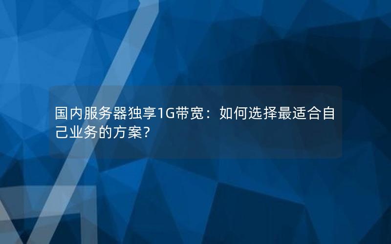 国内服务器独享1G带宽：如何选择最适合自己业务的方案？