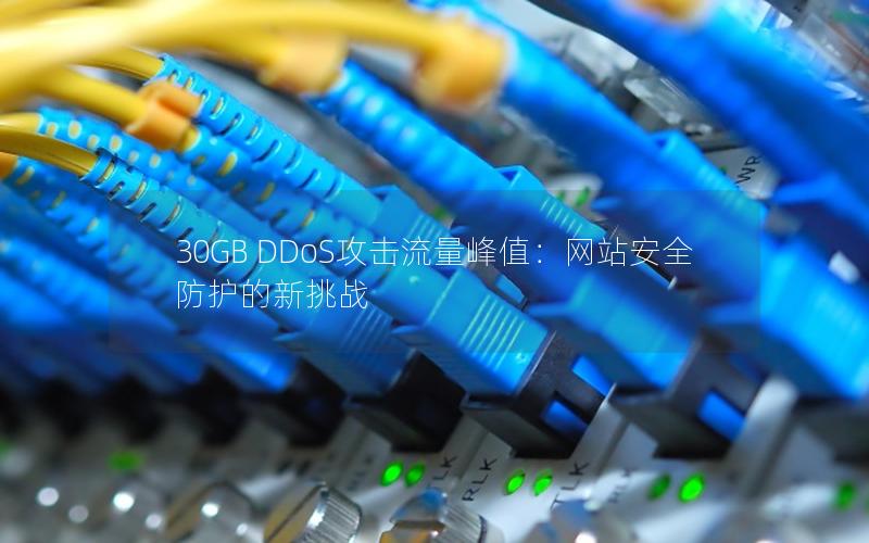 30GB DDoS攻击流量峰值：网站安全防护的新挑战