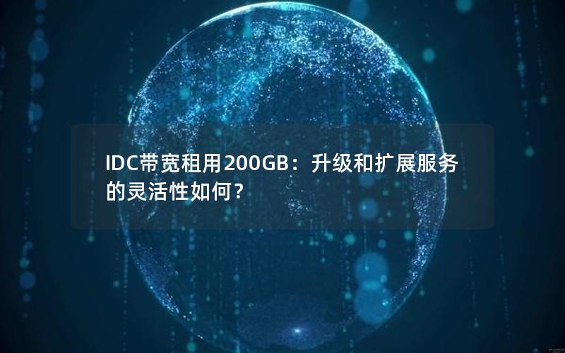 IDC带宽租用200GB：升级和扩展服务的灵活性如何？