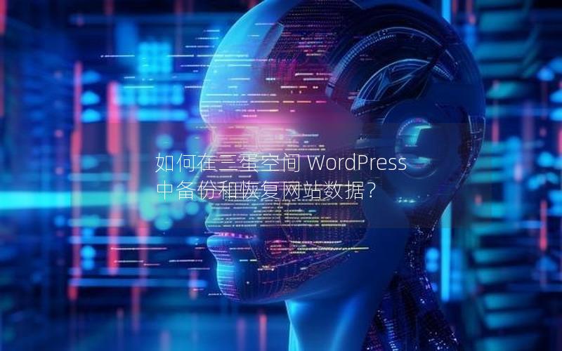 如何在三蛋空间 WordPress 中备份和恢复网站数据？