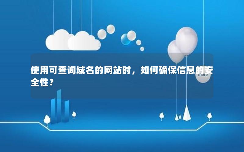 使用可查询域名的网站时，如何确保信息的安全性？