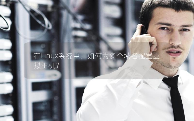 在Linux系统中，如何为多个域名配置虚拟主机？