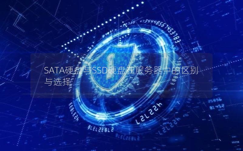 SATA硬盘与SSD硬盘在服务器中的区别与选择