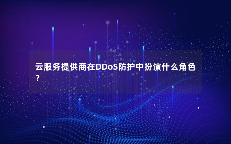 云服务提供商在DDoS防护中扮演什么角色？