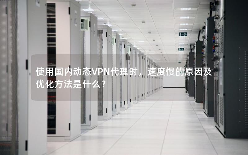 使用国内动态VPN代理时，速度慢的原因及优化方法是什么？