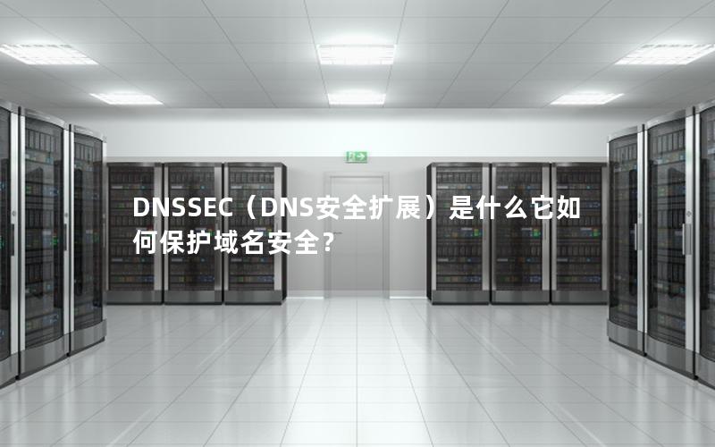 DNSSEC（DNS安全扩展）是什么它如何保护域名安全？