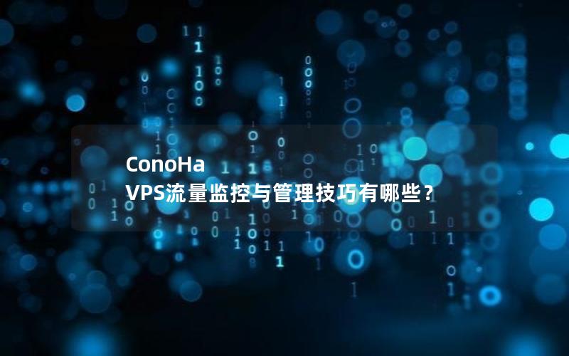 ConoHa VPS流量监控与管理技巧有哪些？