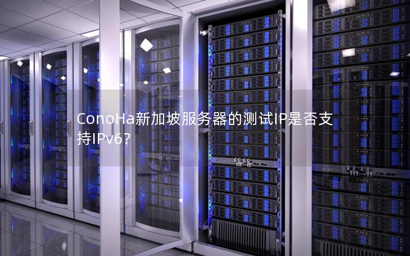 ConoHa新加坡服务器的测试IP是否支持IPv6？