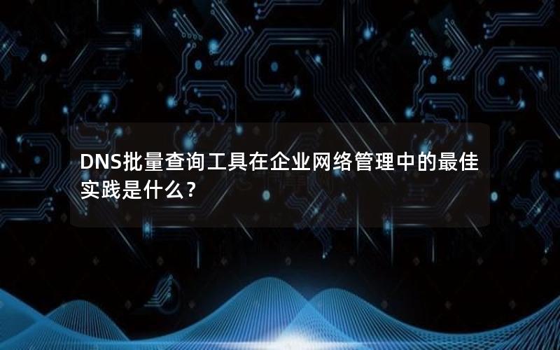 DNS批量查询工具在企业网络管理中的最佳实践是什么？