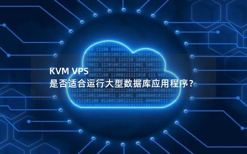 KVM VPS 是否适合运行大型数据库应用程序？