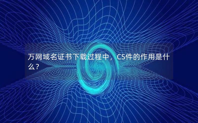 万网域名证书下载过程中，CS件的作用是什么？