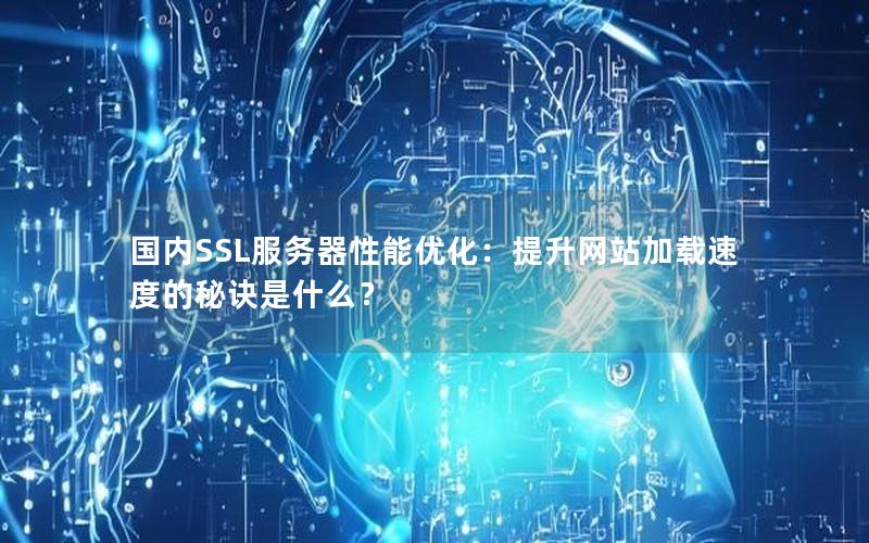 国内SSL服务器性能优化：提升网站加载速度的秘诀是什么？