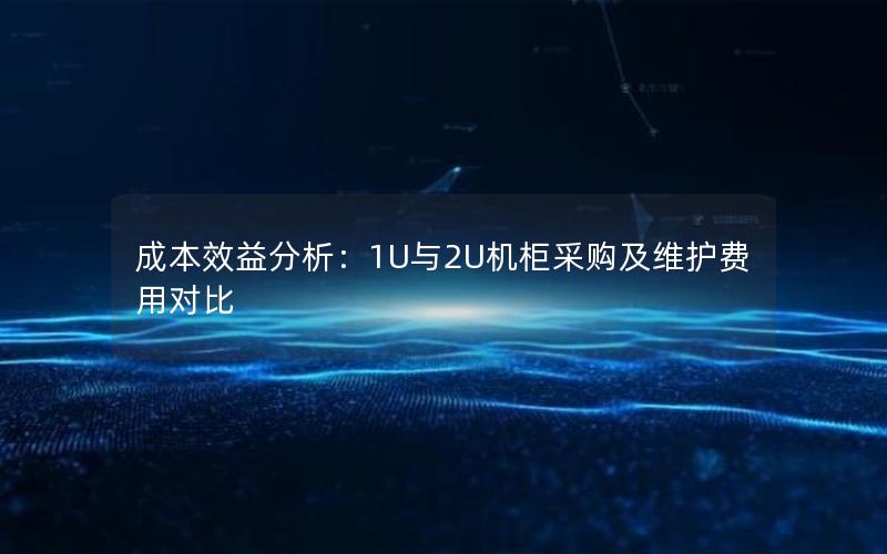 成本效益分析：1U与2U机柜采购及维护费用对比