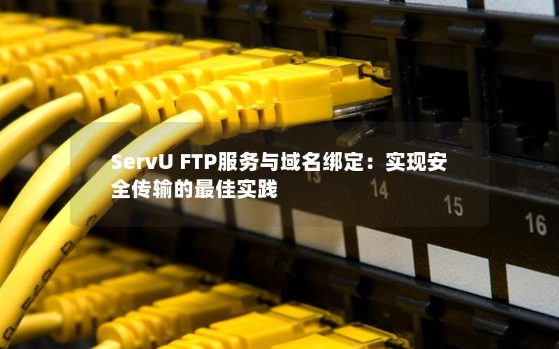 ServU FTP服务与域名绑定：实现安全传输的最佳实践