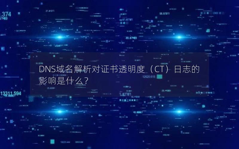 DNS域名解析对证书透明度（CT）日志的影响是什么？