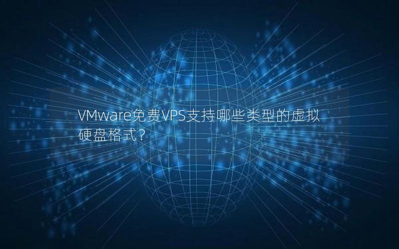 VMware免费VPS支持哪些类型的虚拟硬盘格式？