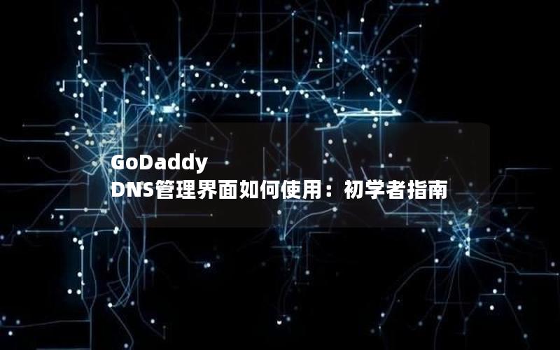 GoDaddy DNS管理界面如何使用：初学者指南