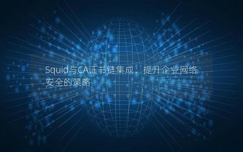 Squid与CA证书链集成：提升企业网络安全的策略