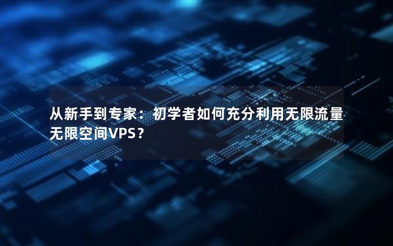 从新手到专家：初学者如何充分利用无限流量无限空间VPS？