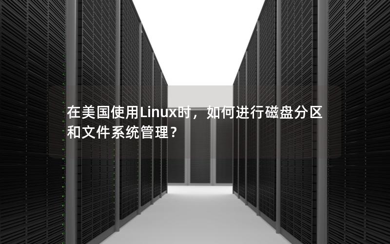 在美国使用Linux时，如何进行磁盘分区和文件系统管理？