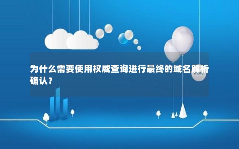 为什么需要使用权威查询进行最终的域名解析确认？