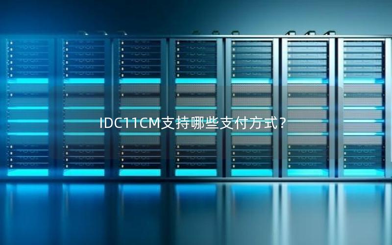 IDC11CM支持哪些支付方式？