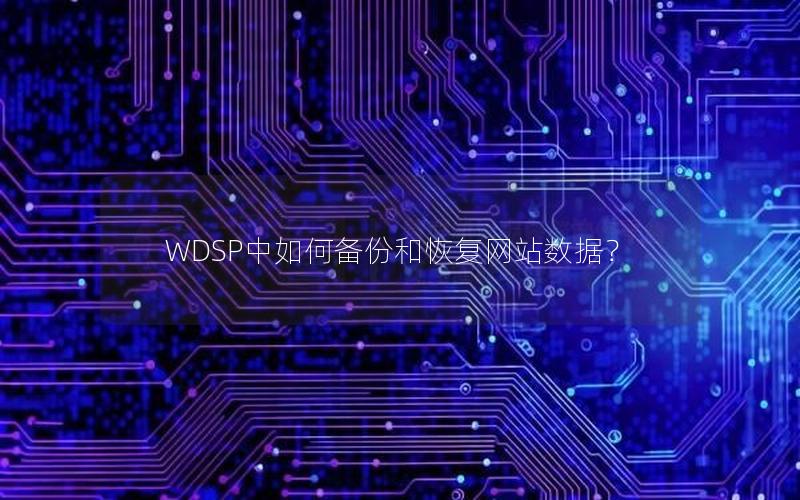 WDSP中如何备份和恢复网站数据？