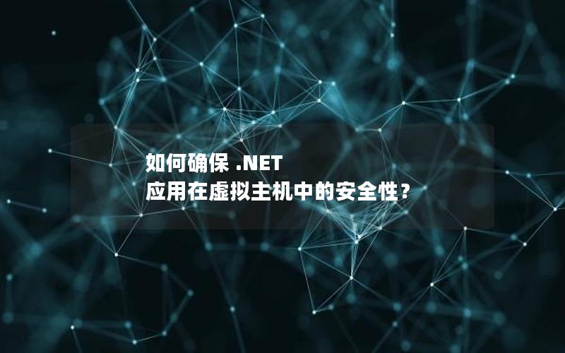 如何确保 .NET 应用在虚拟主机中的安全性？