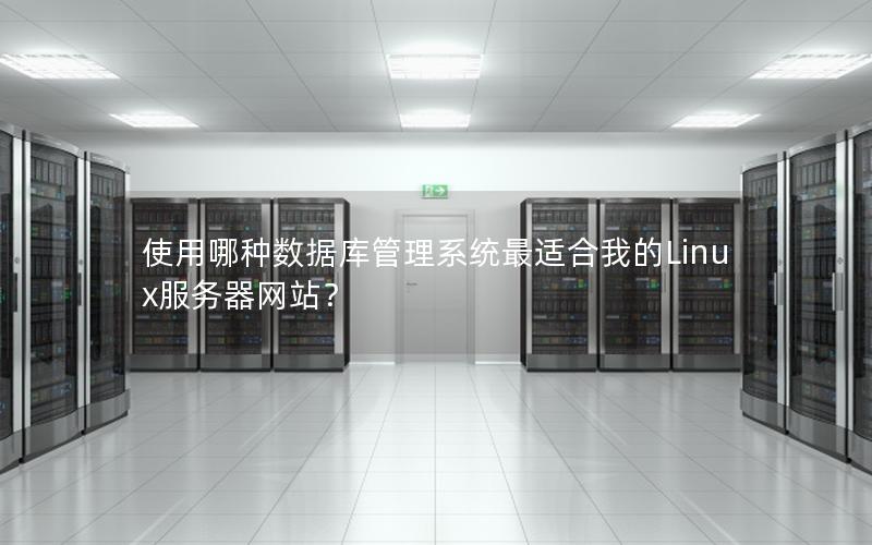 使用哪种数据库管理系统最适合我的Linux服务器网站？