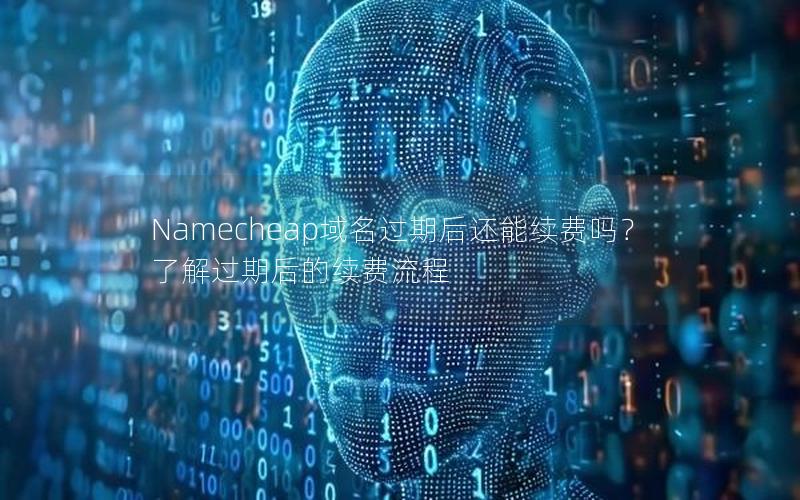 Namecheap域名过期后还能续费吗？了解过期后的续费流程