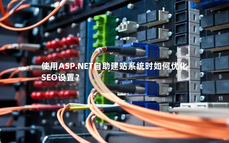 使用ASP.NET自助建站系统时如何优化SEO设置？