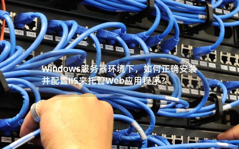 Windows服务器环境下，如何正确安装并配置IIS来托管Web应用程序？