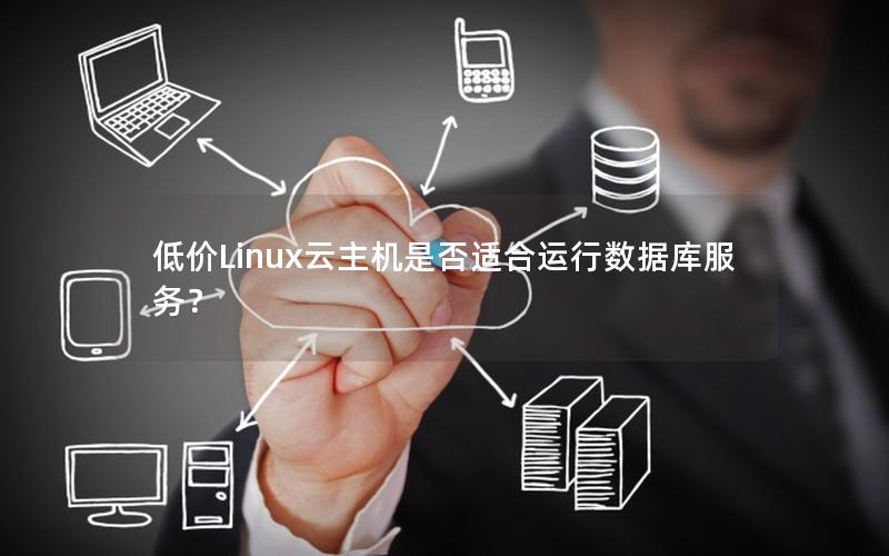 低价Linux云主机是否适合运行数据库服务？