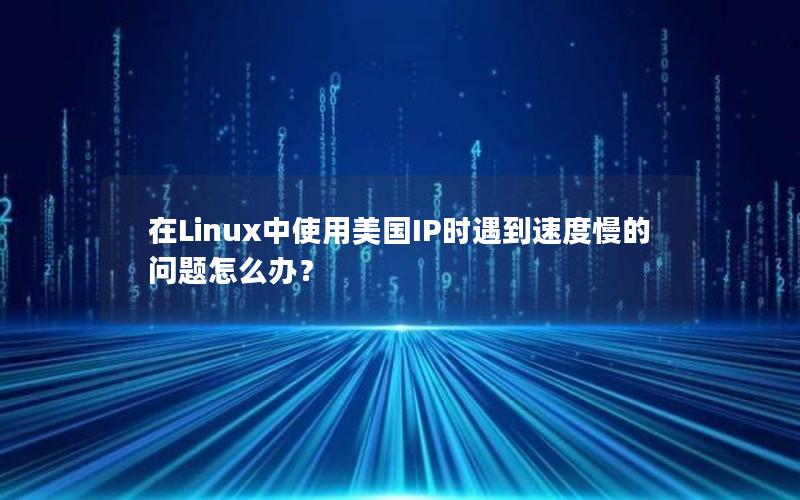 在Linux中使用美国IP时遇到速度慢的问题怎么办？