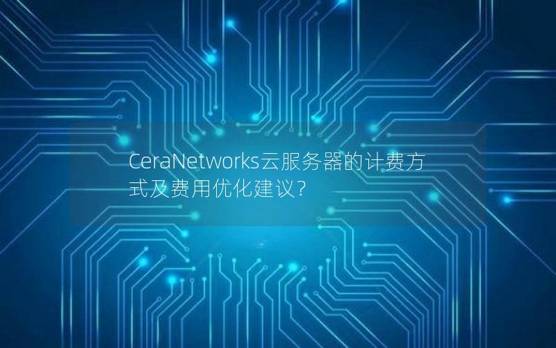 CeraNetworks云服务器的计费方式及费用优化建议？