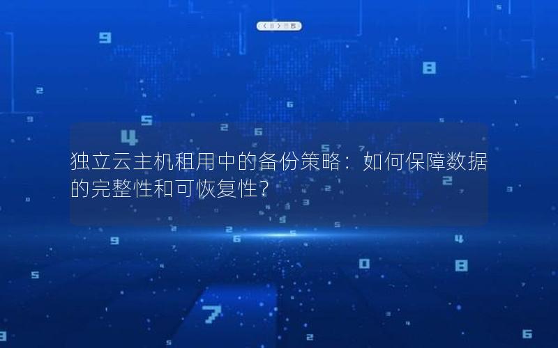 独立云主机租用中的备份策略：如何保障数据的完整性和可恢复性？