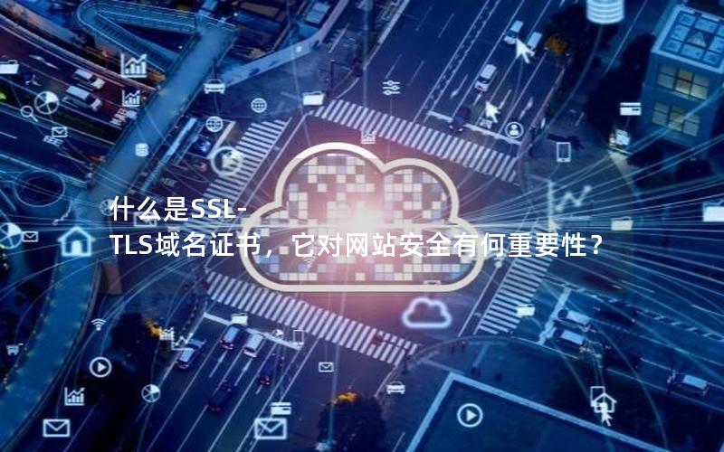 什么是SSL-TLS域名证书，它对网站安全有何重要性？