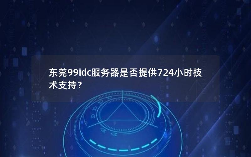 东莞99idc服务器是否提供724小时技术支持？