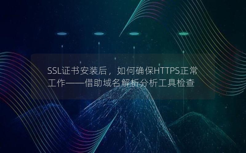 SSL证书安装后，如何确保HTTPS正常工作——借助域名解析分析工具检查