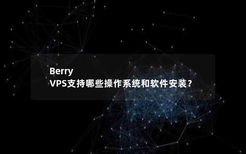 Berry VPS支持哪些操作系统和软件安装？