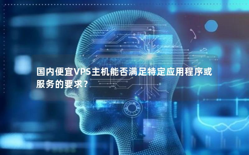 国内便宜VPS主机能否满足特定应用程序或服务的要求？