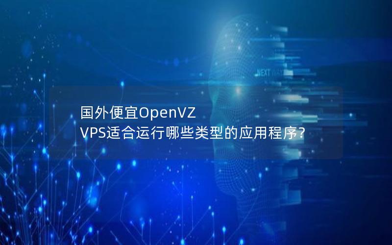 国外便宜OpenVZ VPS适合运行哪些类型的应用程序？