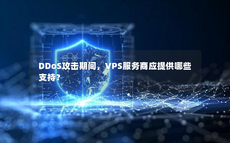 DDoS攻击期间，VPS服务商应提供哪些支持？