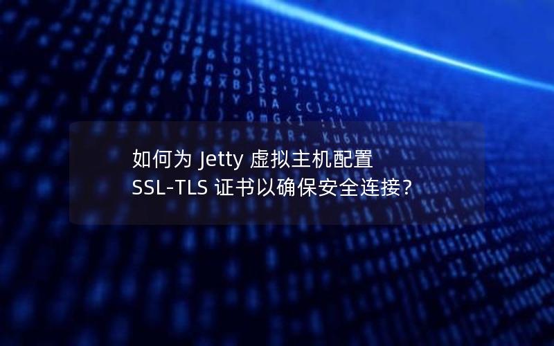 如何为 Jetty 虚拟主机配置 SSL-TLS 证书以确保安全连接？